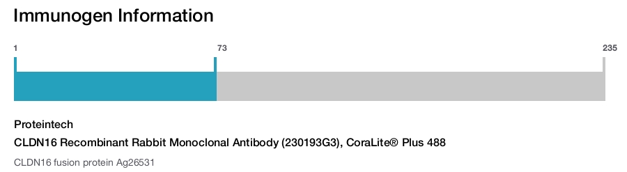 CLDN16 Recombinant Rabbit Monoclonal Antibody (230193G3), CoraLite® Plus 488