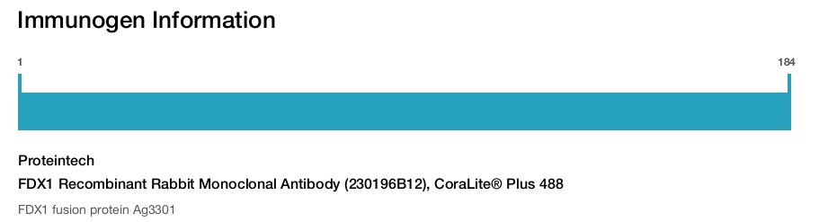 FDX1 Recombinant Rabbit Monoclonal Antibody (230196B12), CoraLite&reg; Plus 488