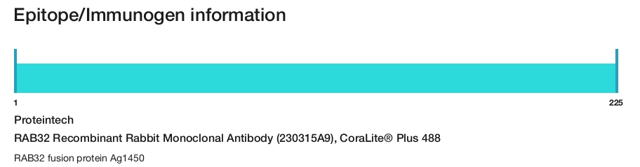 RAB32 Recombinant Rabbit Monoclonal Antibody (230315A9), CoraLite&reg; Plus 488