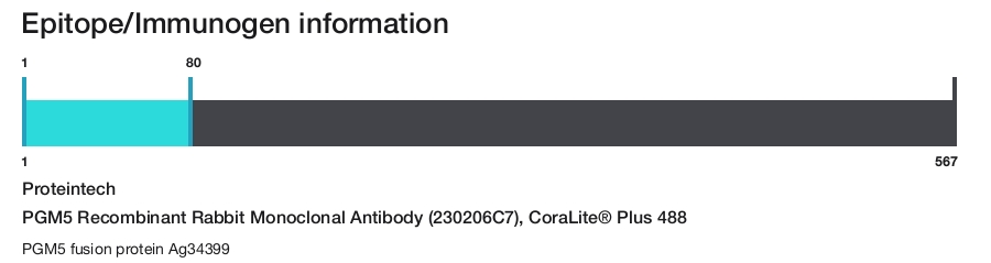 PGM5 Recombinant Rabbit Monoclonal Antibody (230206C7), CoraLite&reg; Plus 488