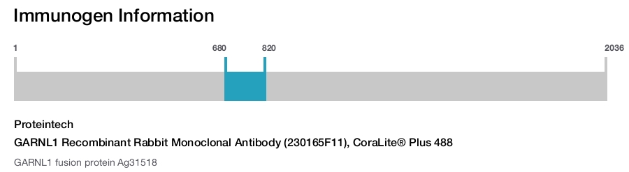 GARNL1 Recombinant Rabbit Monoclonal Antibody (230165F11), CoraLite® Plus 488