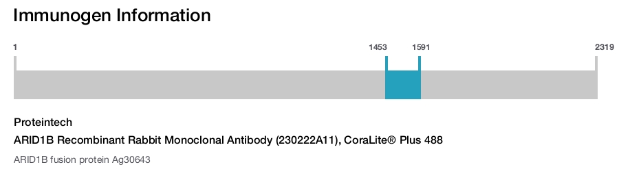 ARID1B Recombinant Rabbit Monoclonal Antibody (230222A11), CoraLite&reg; Plus 488