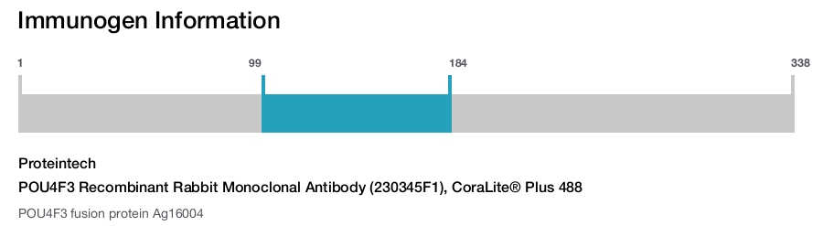 POU4F3 Recombinant Rabbit Monoclonal Antibody (230345F1), CoraLite&reg; Plus 488