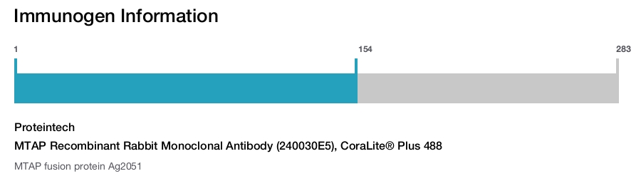 MTAP Recombinant Rabbit Monoclonal Antibody (240030E5), CoraLite&reg; Plus 488