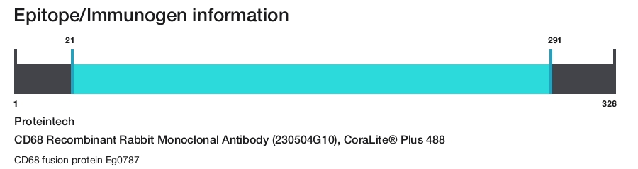 CD68 Recombinant Rabbit Monoclonal Antibody (230504G10), CoraLite&reg; Plus 488