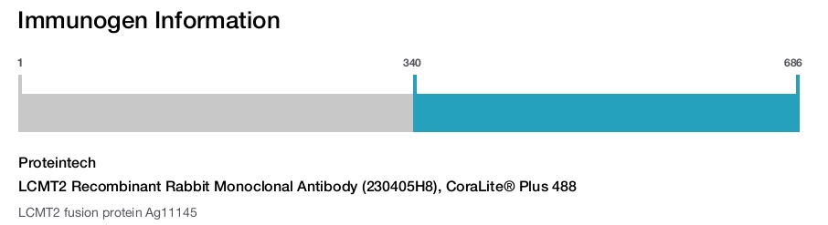 LCMT2 Recombinant Rabbit Monoclonal Antibody (230405H8), CoraLite&reg; Plus 488