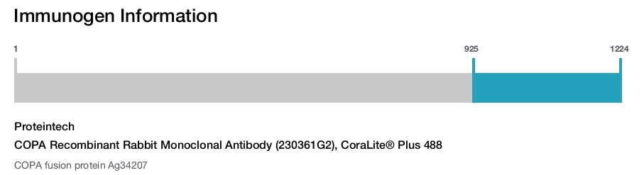 COPA Recombinant Rabbit Monoclonal Antibody (230361G2), CoraLite&reg; Plus 488