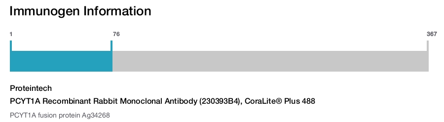 PCYT1A Recombinant Rabbit Monoclonal Antibody (230393B4), CoraLite&reg; Plus 488