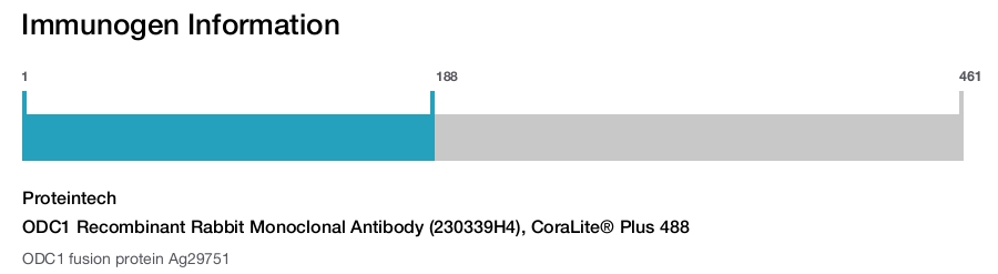 ODC1 Recombinant Rabbit Monoclonal Antibody (230339H4), CoraLite&reg; Plus 488