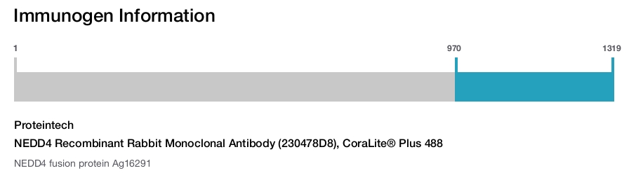 NEDD4 Recombinant Rabbit Monoclonal Antibody (230478D8), CoraLite® Plus 488