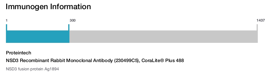NSD3 Recombinant Rabbit Monoclonal Antibody (230499C5), CoraLite® Plus 488