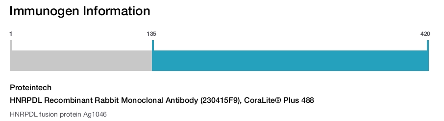 HNRPDL Recombinant Rabbit Monoclonal Antibody (230415F9), CoraLite&reg; Plus 488