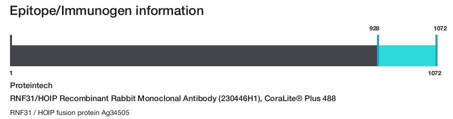 RNF31/HOIP Recombinant Rabbit Monoclonal Antibody (230446H1), CoraLite&reg; Plus 488