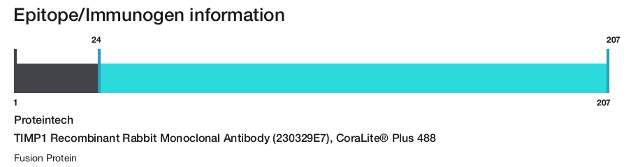 TIMP1 Recombinant Rabbit Monoclonal Antibody (230329E7), CoraLite&reg; Plus 488