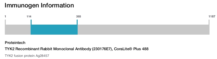 TYK2 Recombinant Rabbit Monoclonal Antibody (230176E7), CoraLite® Plus 488