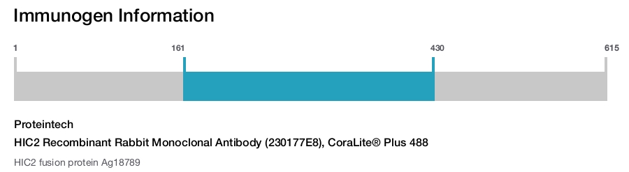 HIC2 Recombinant Rabbit Monoclonal Antibody (230177E8), CoraLite&reg; Plus 488