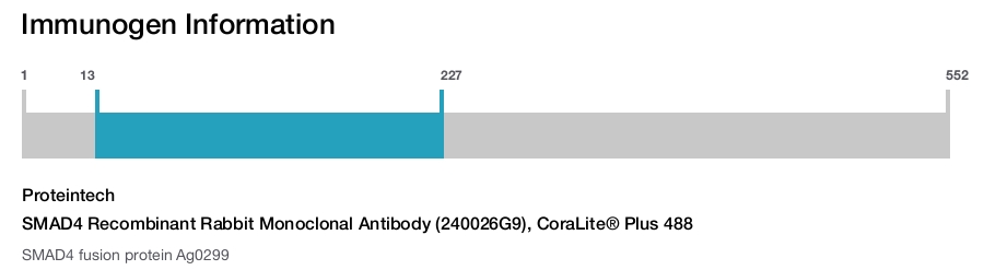 SMAD4 Recombinant Rabbit Monoclonal Antibody (240026G9), CoraLite&reg; Plus 488