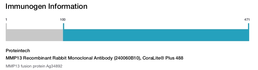 MMP13 Recombinant Rabbit Monoclonal Antibody (240060B10), CoraLite&reg; Plus 488