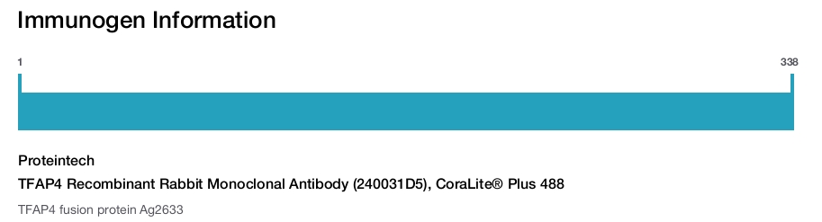 TFAP4 Recombinant Rabbit Monoclonal Antibody (240031D5), CoraLite&reg; Plus 488