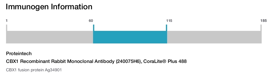 CBX1 Recombinant Rabbit Monoclonal Antibody (240075H6), CoraLite&reg; Plus 488