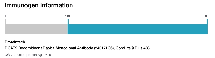 DGAT2 Recombinant Rabbit Monoclonal Antibody (240171C6), CoraLite&reg; Plus 488