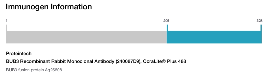 BUB3 Recombinant Rabbit Monoclonal Antibody (240087D9), CoraLite&reg; Plus 488