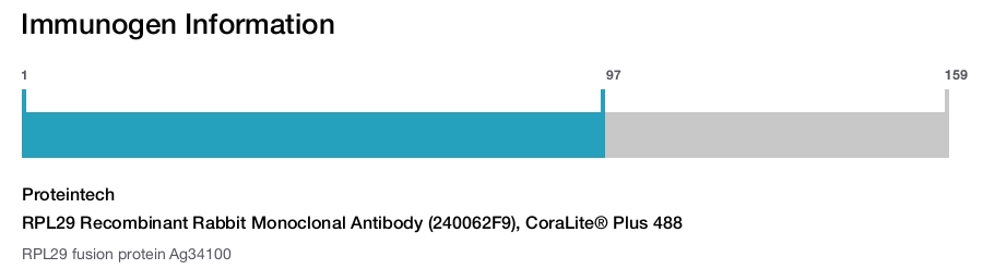 RPL29 Recombinant Rabbit Monoclonal Antibody (240062F9), CoraLite&reg; Plus 488