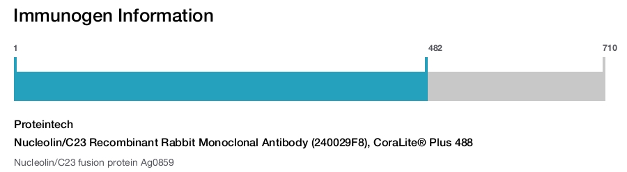 Nucleolin/C23 Recombinant Rabbit Monoclonal Antibody (240029F8), CoraLite® Plus 488