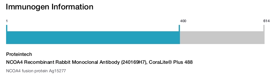 NCOA4 Recombinant Rabbit Monoclonal Antibody (240169H7), CoraLite&reg; Plus 488