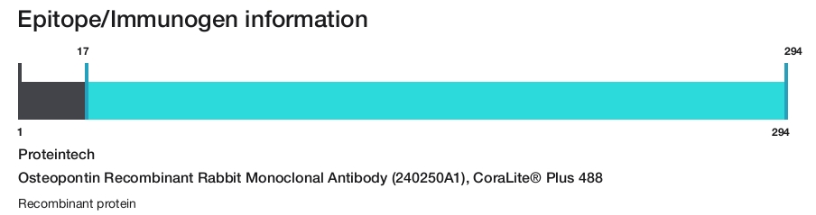 Osteopontin Recombinant Rabbit Monoclonal Antibody (240250A1), CoraLite&reg; Plus 488