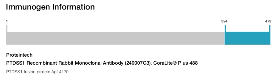 PTDSS1 Recombinant Rabbit Monoclonal Antibody (240007G3), CoraLite&reg; Plus 488