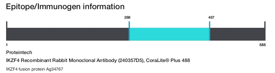 IKZF4 Recombinant Rabbit Monoclonal Antibody (240357D5), CoraLite&reg; Plus 488