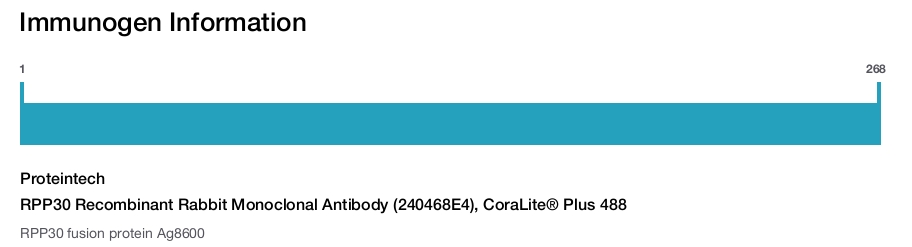 RPP30 Recombinant Rabbit Monoclonal Antibody (240468E4), CoraLite&reg; Plus 488