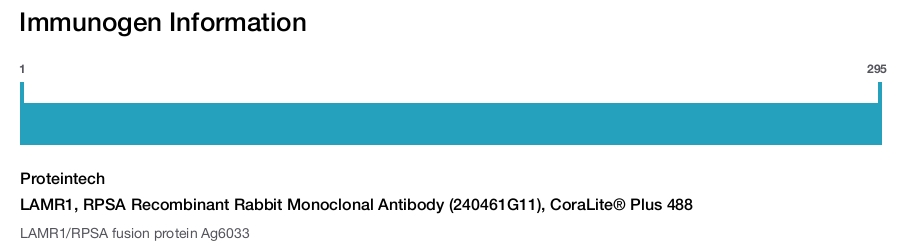 LAMR1, RPSA Recombinant Rabbit Monoclonal Antibody (240461G11), CoraLite&reg; Plus 488