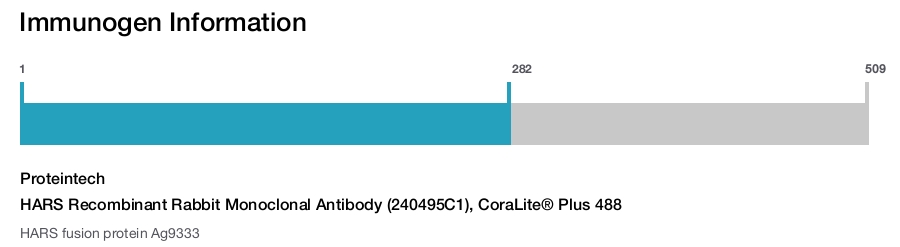 HARS Recombinant Rabbit Monoclonal Antibody (240495C1), CoraLite® Plus 488