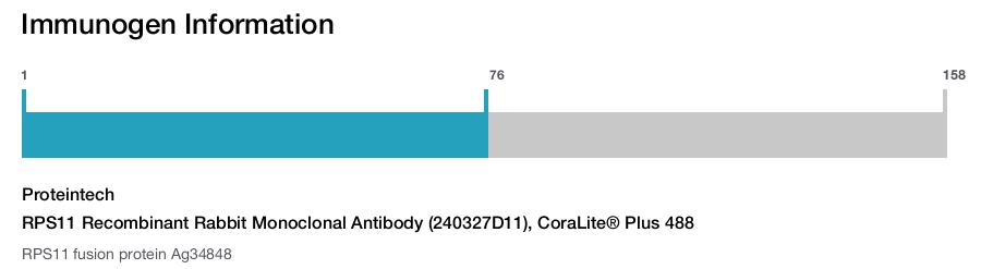 RPS11 Recombinant Rabbit Monoclonal Antibody (240327D11), CoraLite&reg; Plus 488