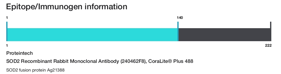SOD2 Recombinant Rabbit Monoclonal Antibody (240462F8), CoraLite&reg; Plus 488