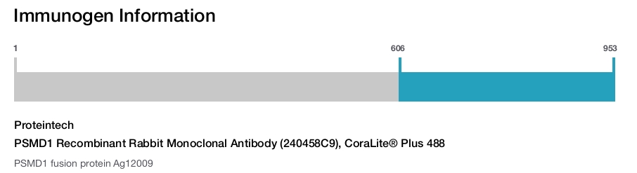 PSMD1 Recombinant Rabbit Monoclonal Antibody (240458C9), CoraLite&reg; Plus 488