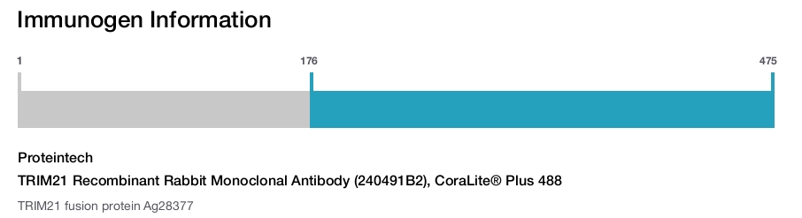 TRIM21 Recombinant Rabbit Monoclonal Antibody (240491B2), CoraLite&reg; Plus 488