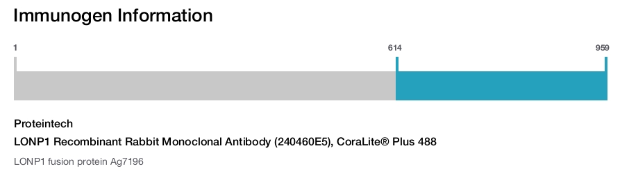 LONP1 Recombinant Rabbit Monoclonal Antibody (240460E5), CoraLite&reg; Plus 488