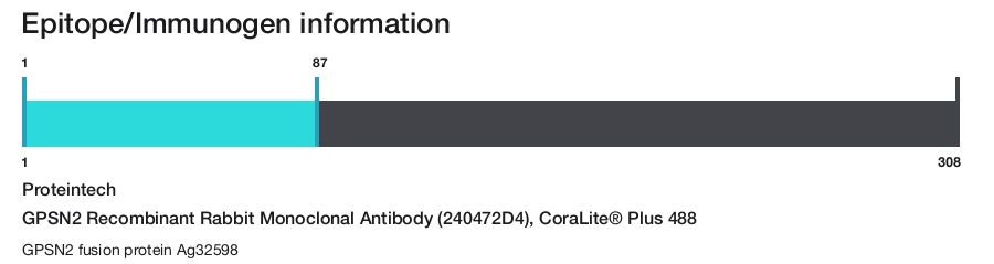 GPSN2 Recombinant Rabbit Monoclonal Antibody (240472D4), CoraLite&reg; Plus 488