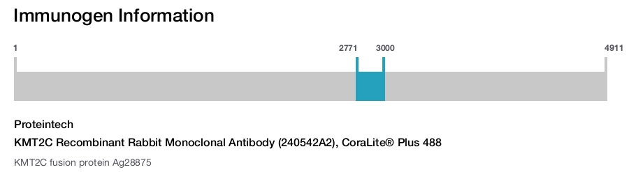 KMT2C Recombinant Rabbit Monoclonal Antibody (240542A2), CoraLite&reg; Plus 488
