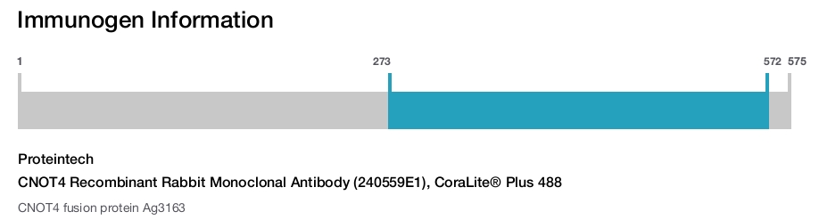 CNOT4 Recombinant Rabbit Monoclonal Antibody (240559E1), CoraLite&reg; Plus 488