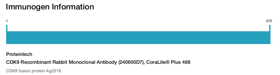 CDK9 Recombinant Rabbit Monoclonal Antibody (240600D7), CoraLite&reg; Plus 488