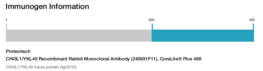 CHI3L1/YKL40 Recombinant Rabbit Monoclonal Antibody (240691F11), CoraLite&reg; Plus 488