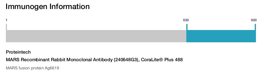 MARS Recombinant Rabbit Monoclonal Antibody (240648G3), CoraLite&reg; Plus 488