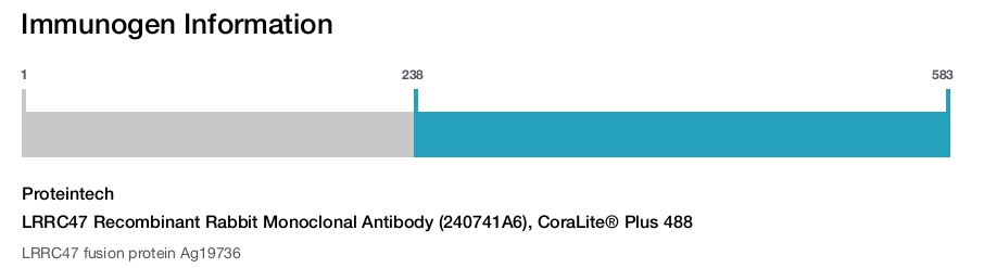 LRRC47 Recombinant Rabbit Monoclonal Antibody (240741A6), CoraLite&reg; Plus 488
