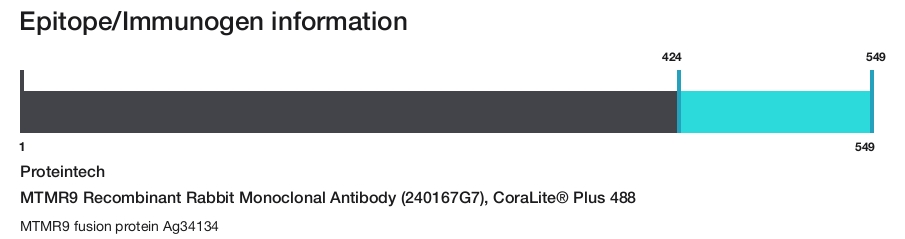 MTMR9 Recombinant Rabbit Monoclonal Antibody (240167G7), CoraLite&reg; Plus 488