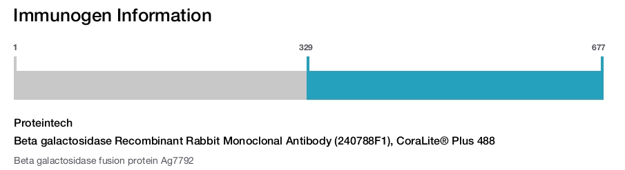 Beta galactosidase Recombinant Rabbit Monoclonal Antibody (240788F1), CoraLite&reg; Plus 488