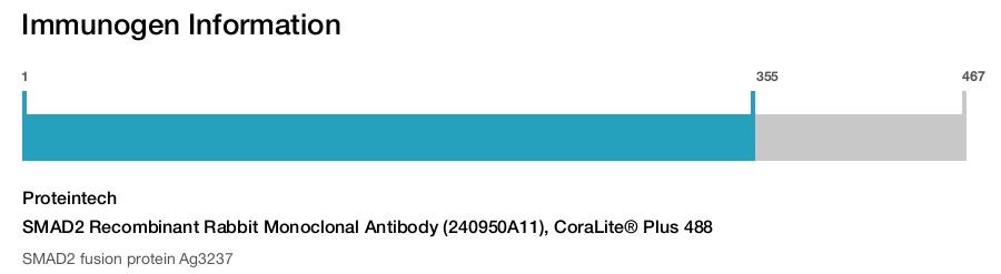 SMAD2 Recombinant Rabbit Monoclonal Antibody (240950A11), CoraLite&reg; Plus 488